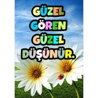 mavci