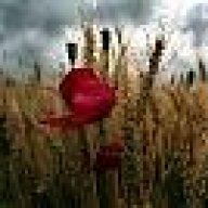 hayal_hayal